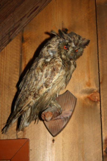 2009-06-06 bis 07 Frühjahrsausfahrt