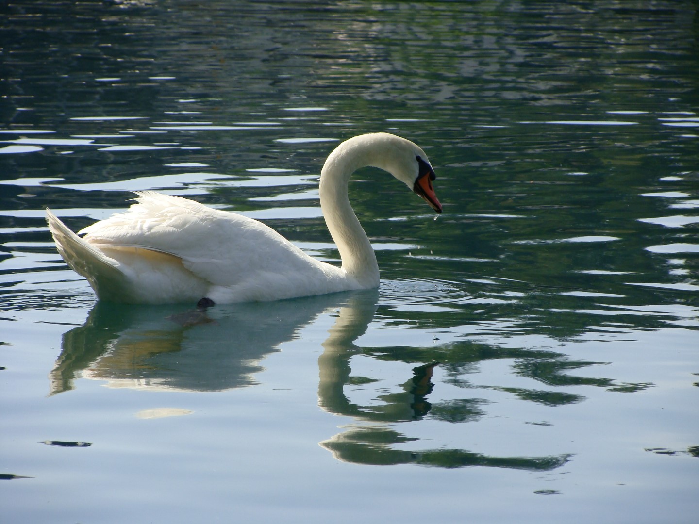 2016-05-26 bis 29 Frühjahrsausfahrt Bled