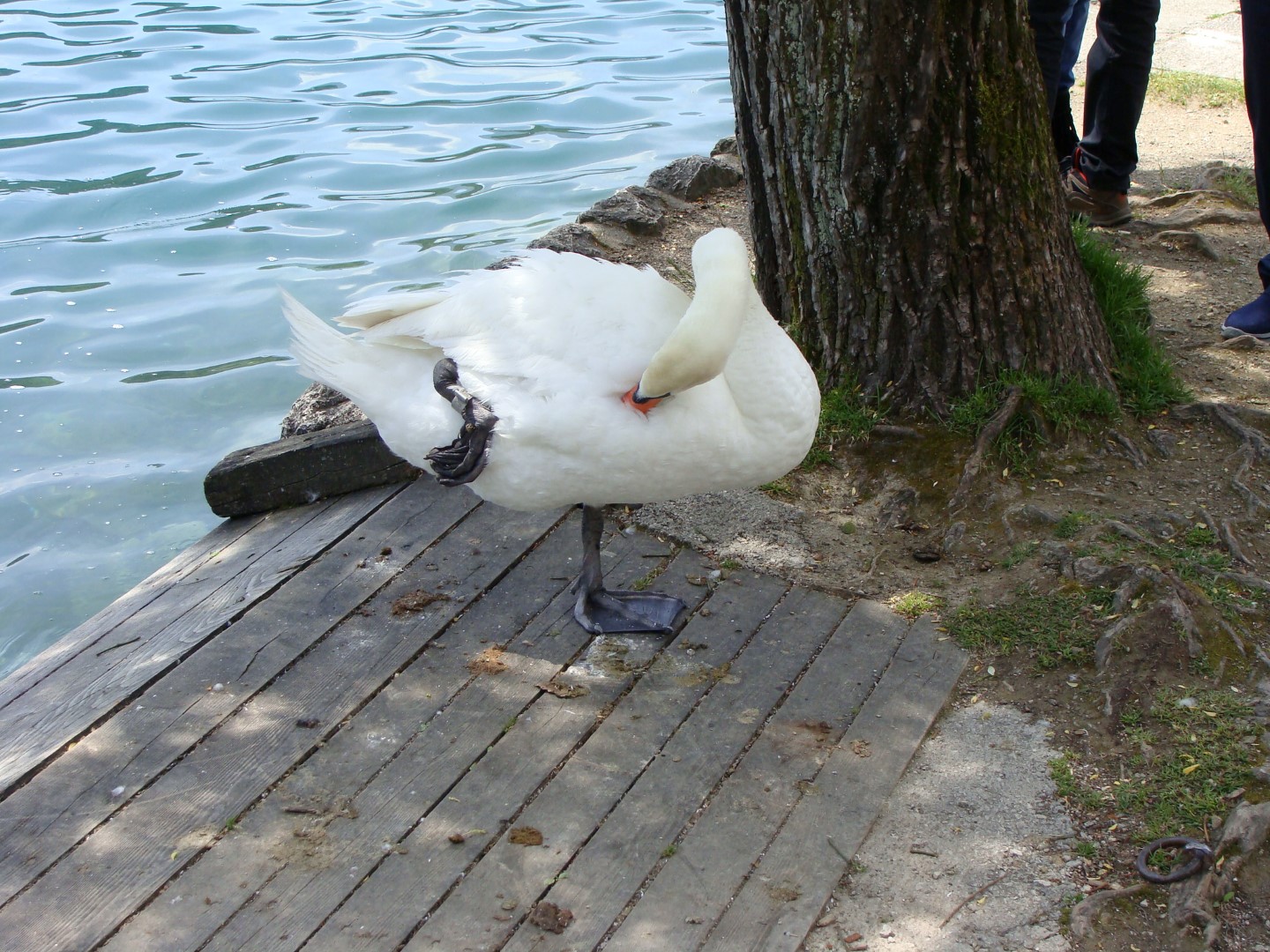 2016-05-26 bis 29 Frühjahrsausfahrt Bled