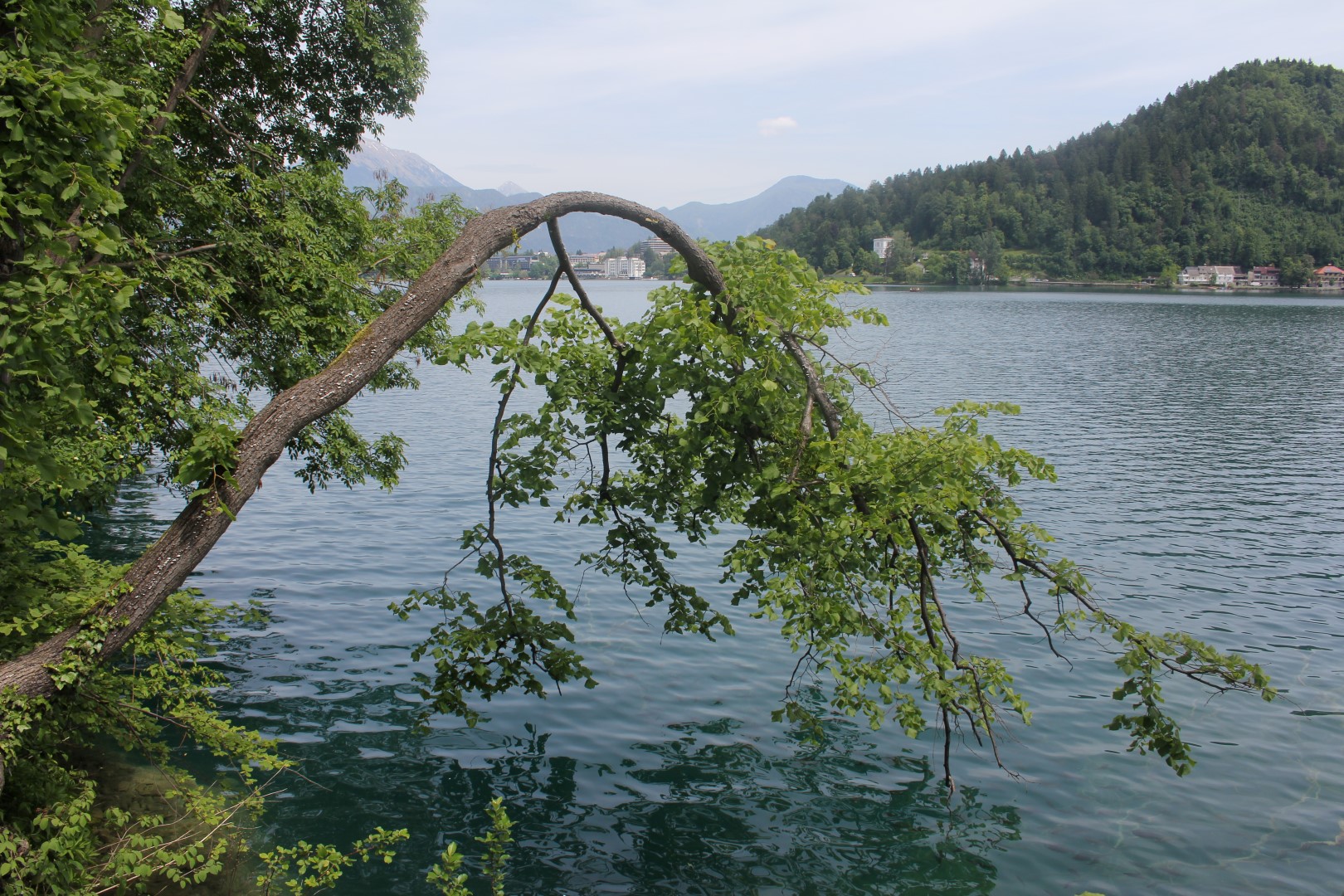 2016-05-26 bis 29 Frühjahrsausfahrt Bled
