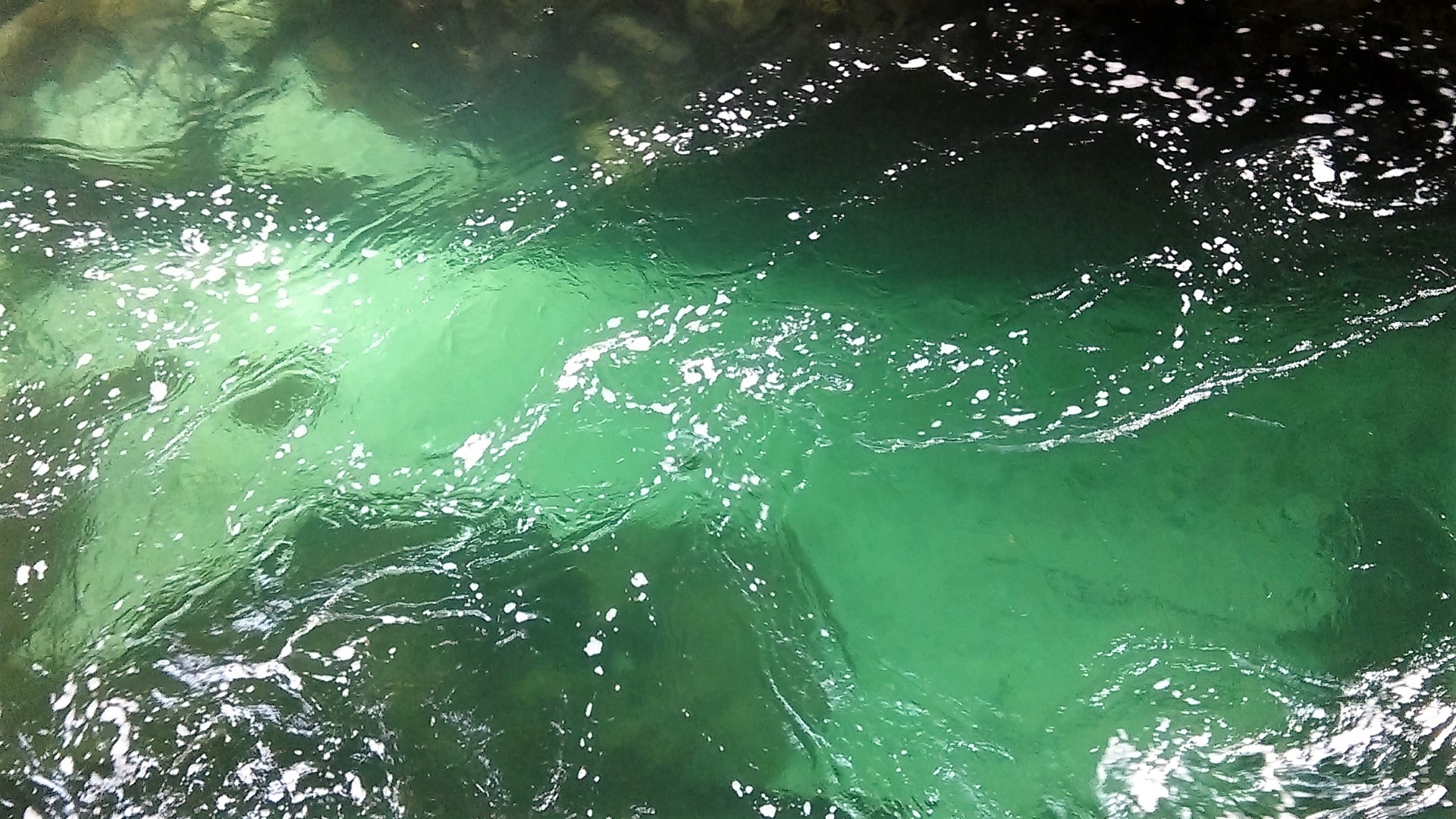 2016-05-26 bis 29 Frühjahrsausfahrt Bled