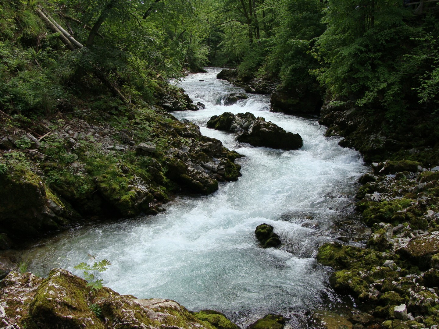 2016-05-26 bis 29 Frühjahrsausfahrt Bled