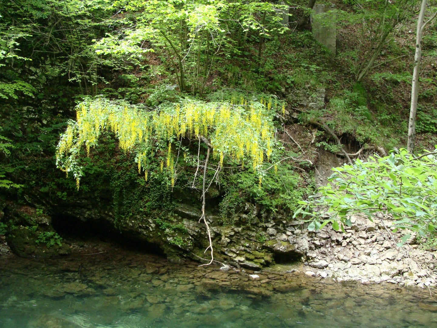 2016-05-26 bis 29 Frühjahrsausfahrt Bled