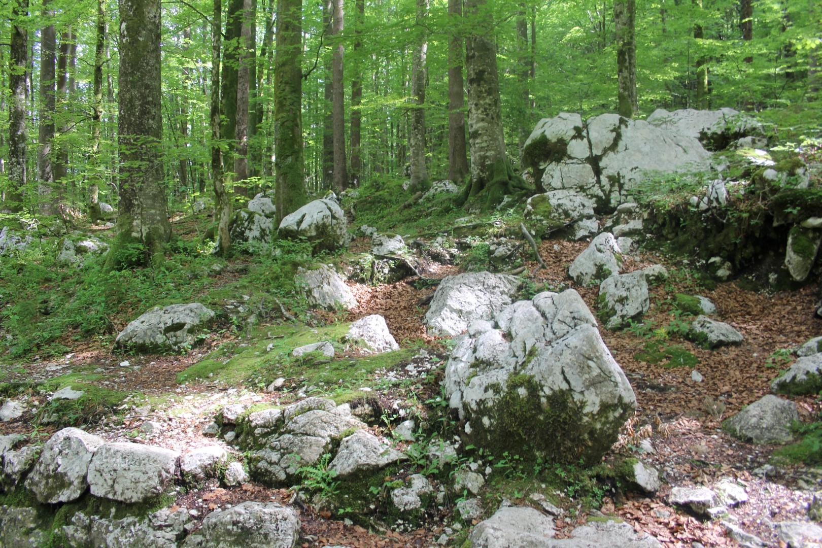 2016-05-26 bis 29 Frühjahrsausfahrt Bled