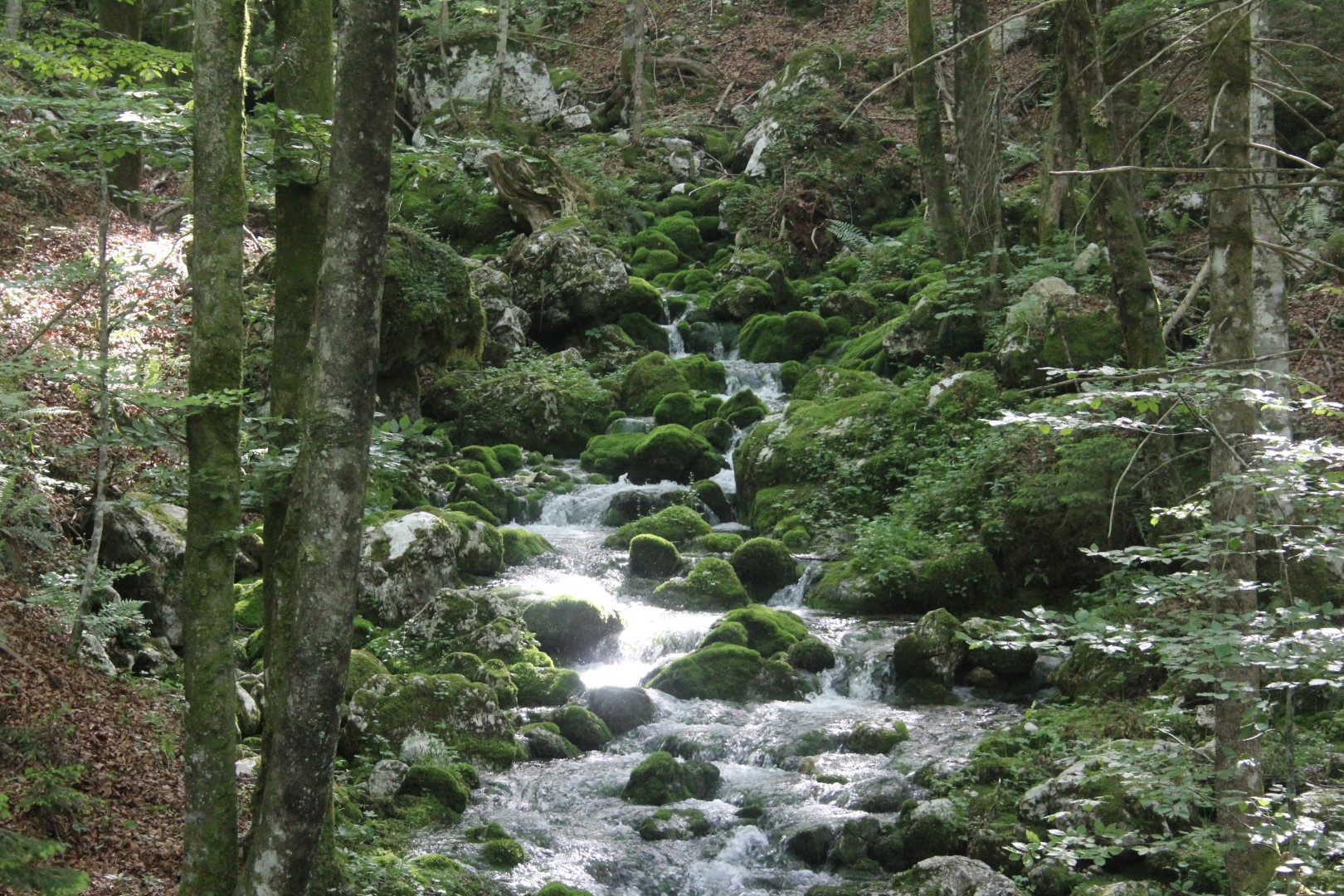 2016-05-26 bis 29 Frühjahrsausfahrt Bled