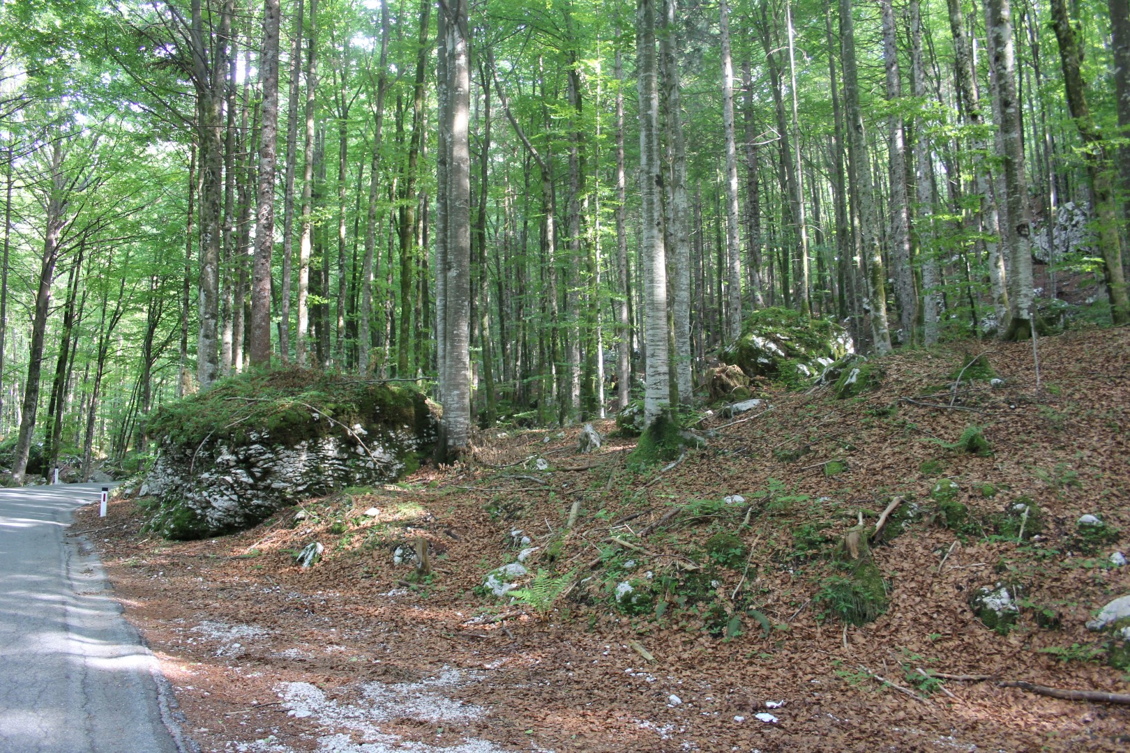 2016-05-26 bis 29 Frühjahrsausfahrt Bled