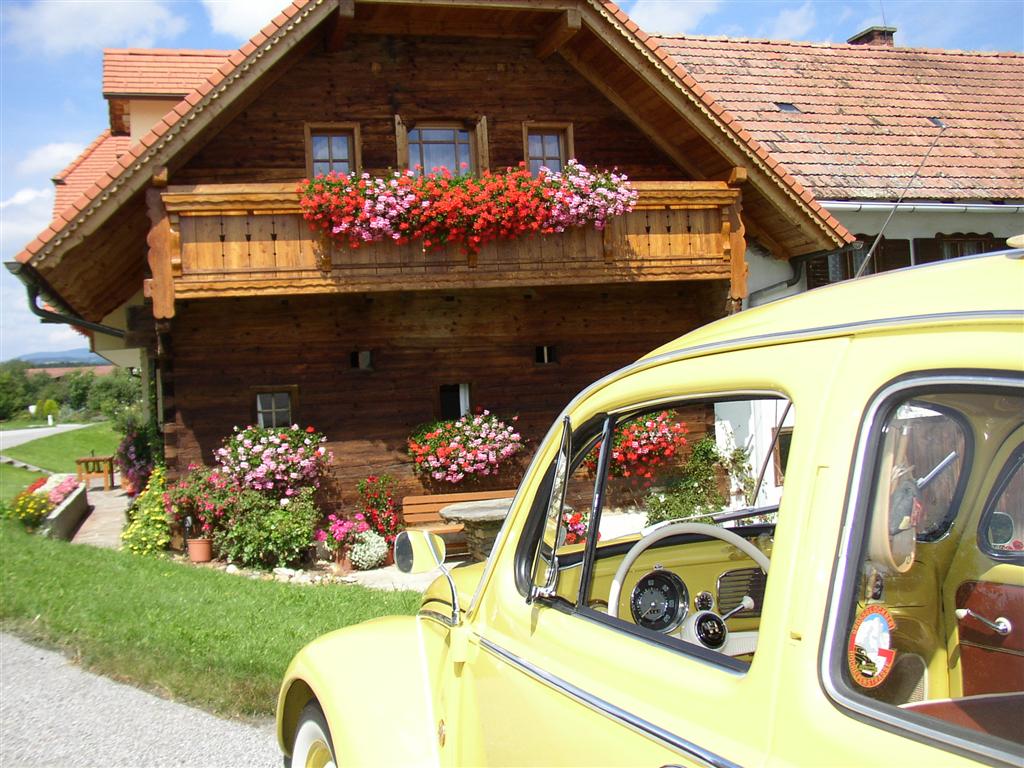 VW - Käfer ovali 1956